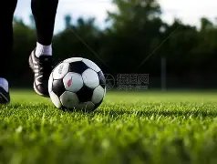 平博体育,资讯,平博体育官方,平博体育官方,平博体育在线官网,平博体育线上,平博体育APP