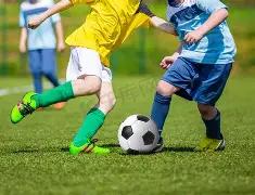 平博体育,资讯,平博体育官方,平博体育官方,平博体育在线官网,平博体育线上,平博体育APP