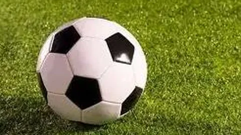 平博体育 产品 063247 wte