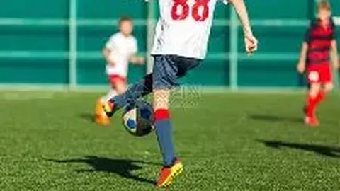 “2025年世界杯法国国家足球队参赛名单揭晓”